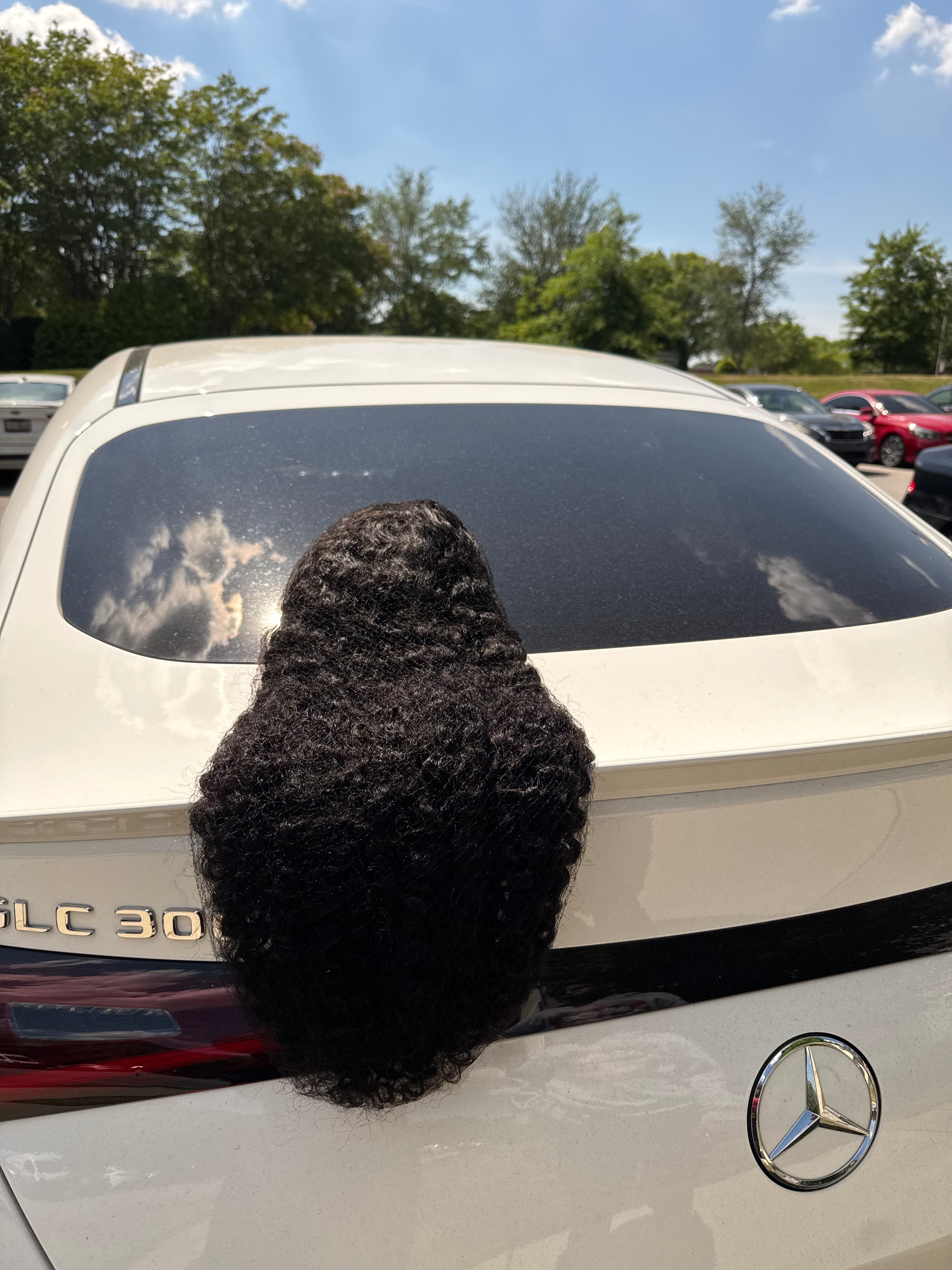 Pre-Plucked 13x6 Lace Frontal Wig - Burmese Curly