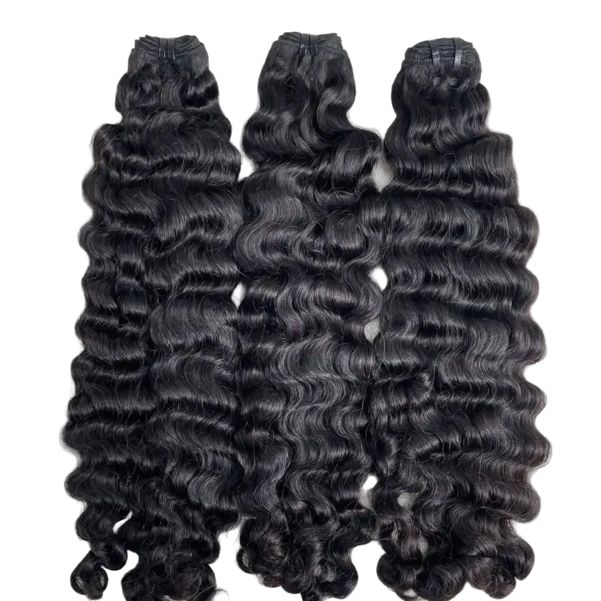 Burmese Curly